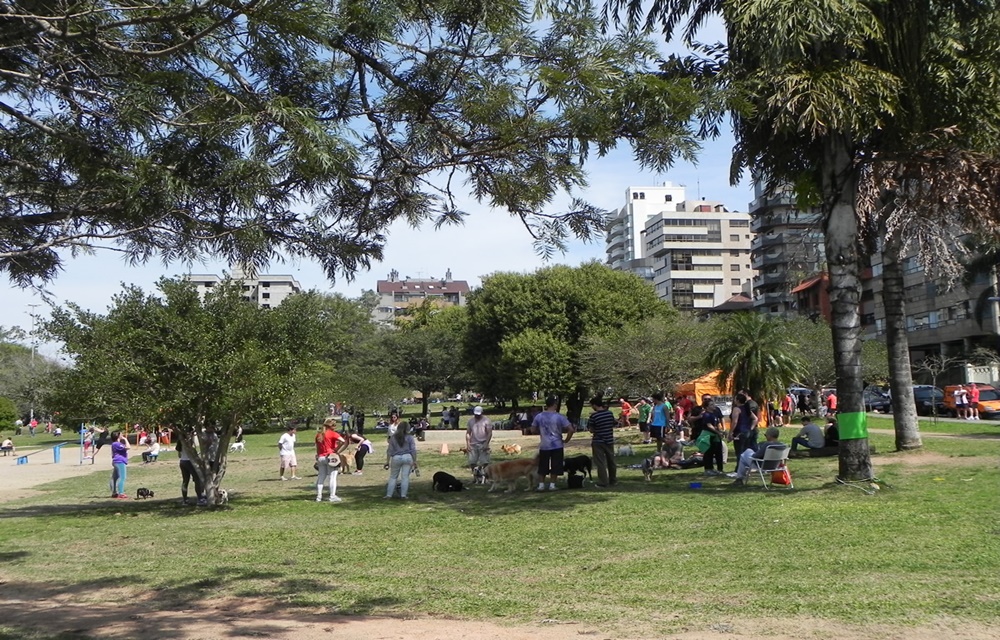 Ir para  <p>A primavera come&ccedil;a nesta quinta-feira &agrave;s 11h21min, marcando a transi&ccedil;&atilde;o para o ver&atilde;o ap&oacute;s um dos invernos mais frios da hist&oacute;ria recente do Rio Grande do Sul....